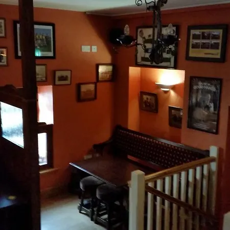 Gæstehus The Wolf Dog Tavern *