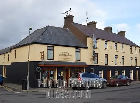 The Wolf Dog Tavern