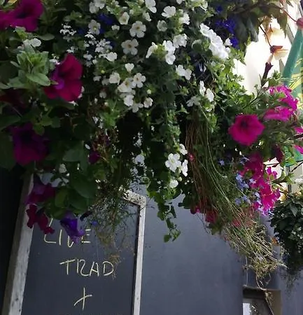 The Wolf Dog Tavern * Killala