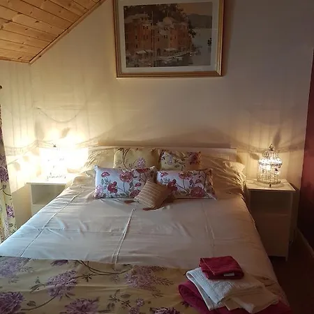 Guest house The Wolf Dog Tavern *